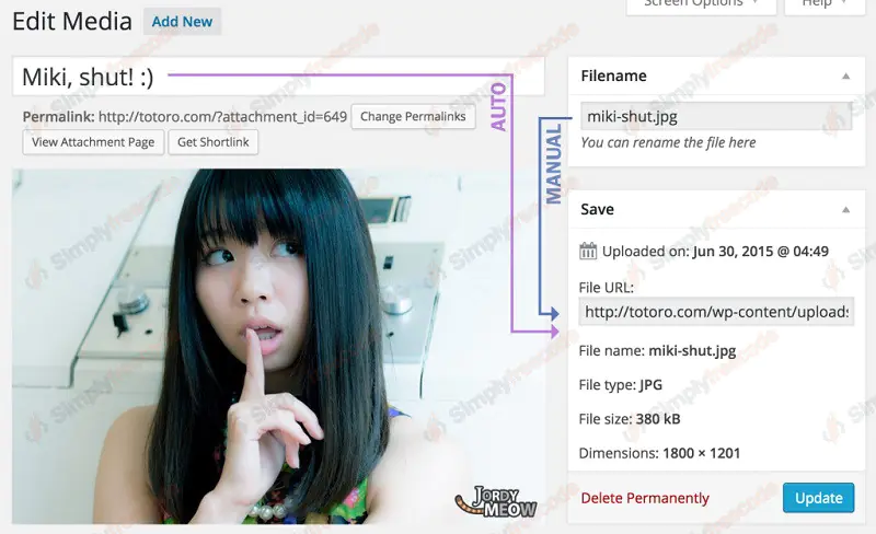 Media File Renamer Pro v6.2.8 by MeowApps - Nulled